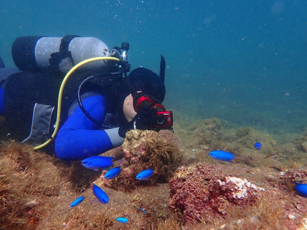 OM Marine Club activities